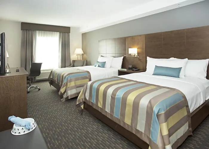Wingate By Wyndham Calgary Airport Hotel